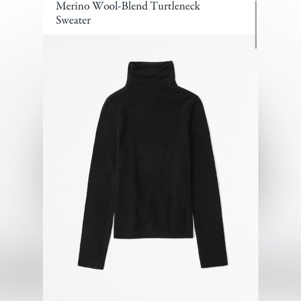 Abercrombie & Fitch Merino Wool-Blend Turtleneck